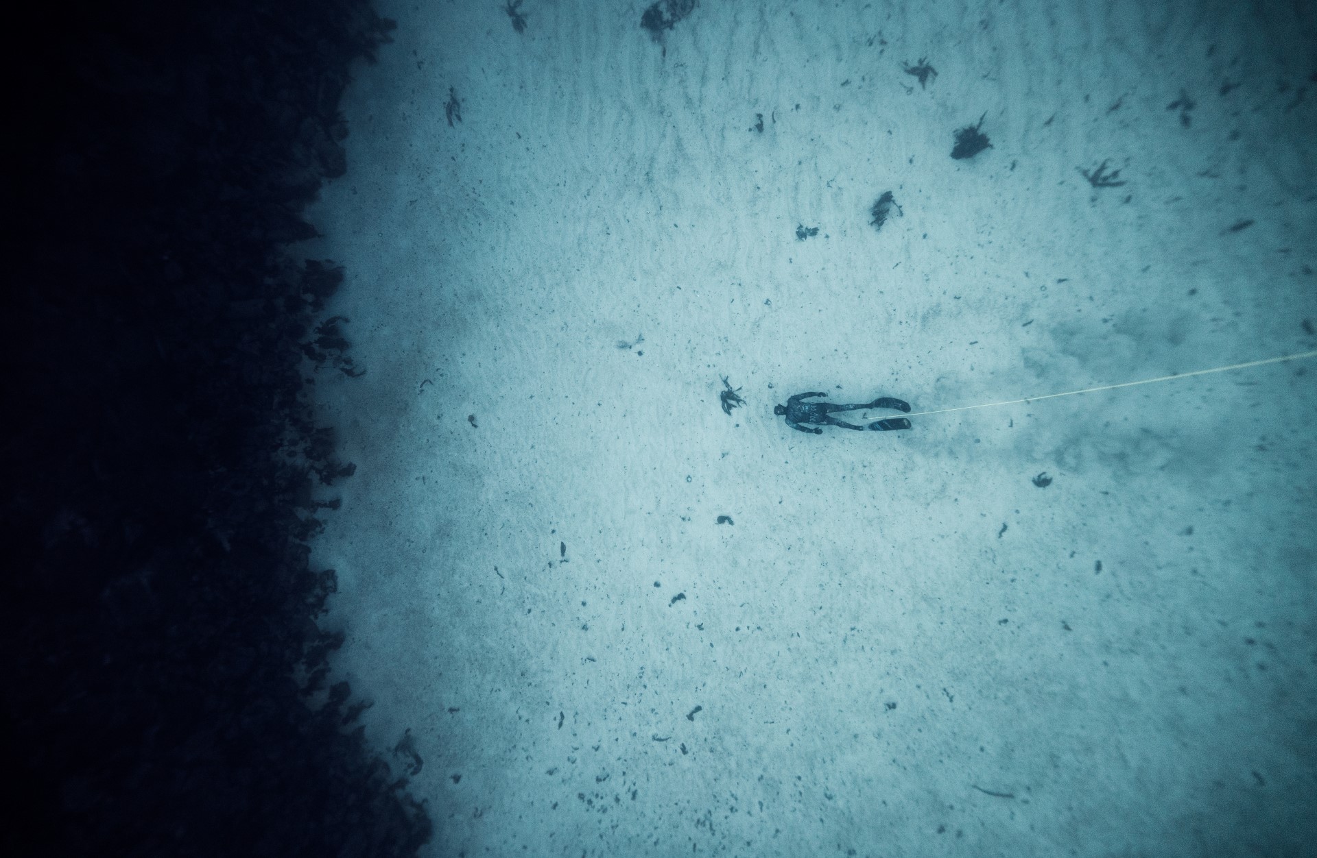 Dykketinget er forbundets generalforsamling. Tinget samles vanligvis i slutten av april annethvert år (partallsår).