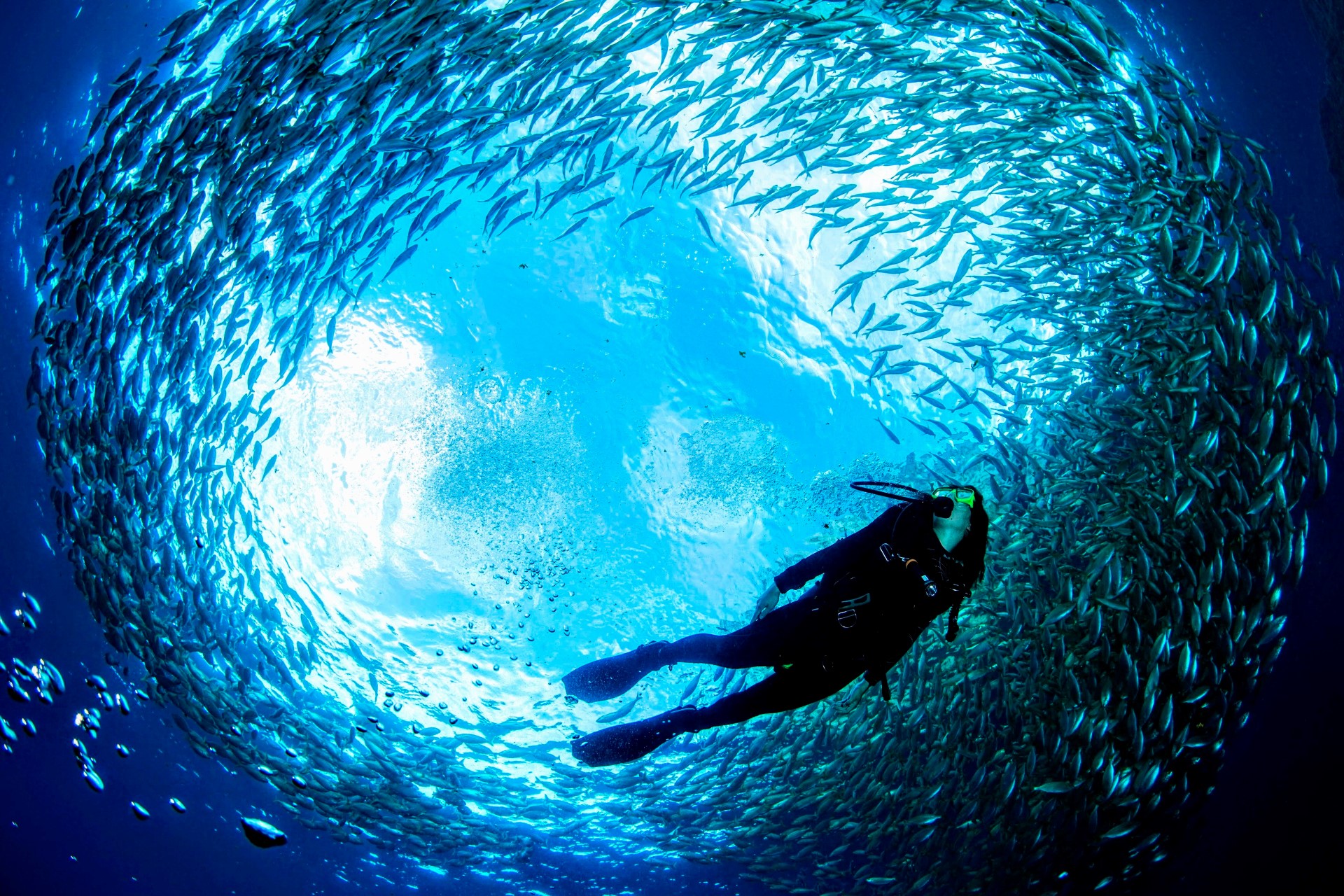 Sterke norske prestasjoner under VM i undervannsfoto 2025 - OPPDATERT med bilder