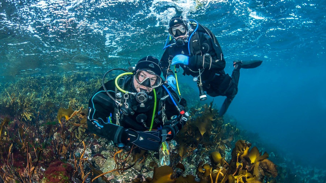 Vis oss din dykkeglede – bli med på årets fotokonkurranse!