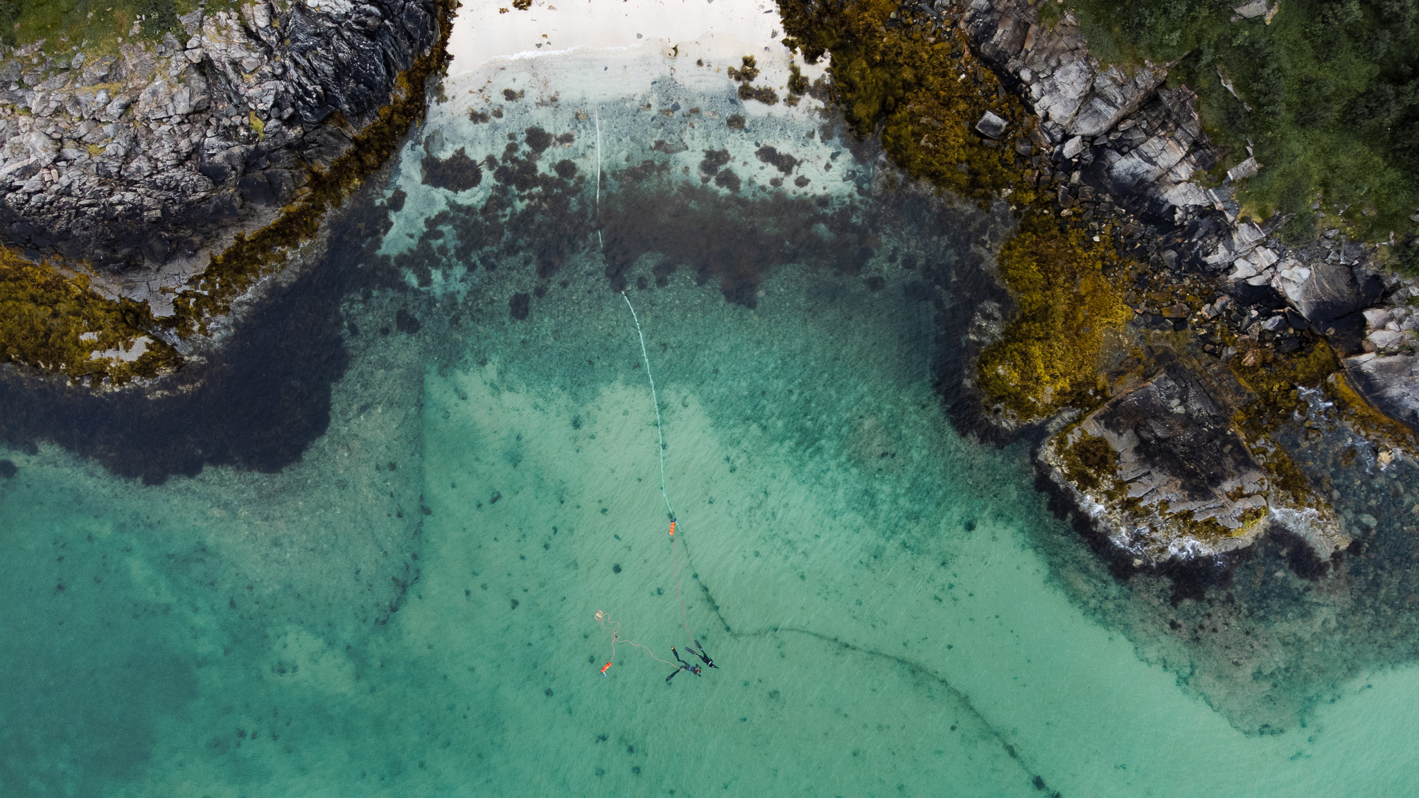 Alltid gode opplevelser under vann!