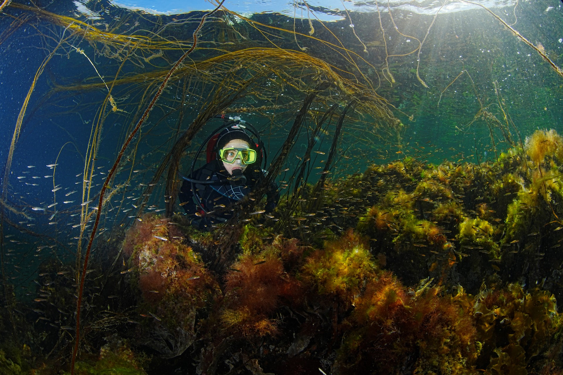 Foto: Ole Christian Meldahl