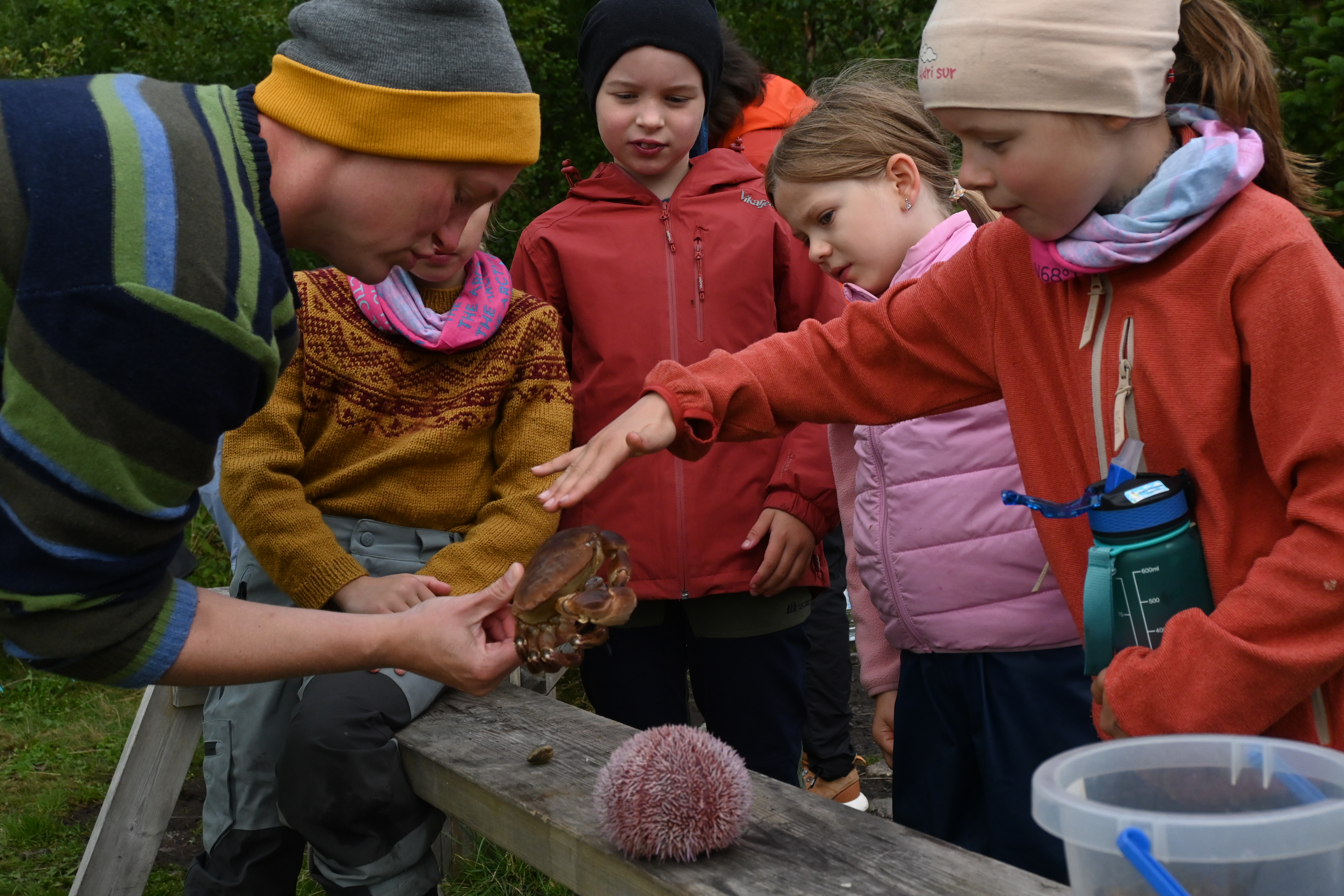 Mat fra havet - en smak av norsk kystkultur
