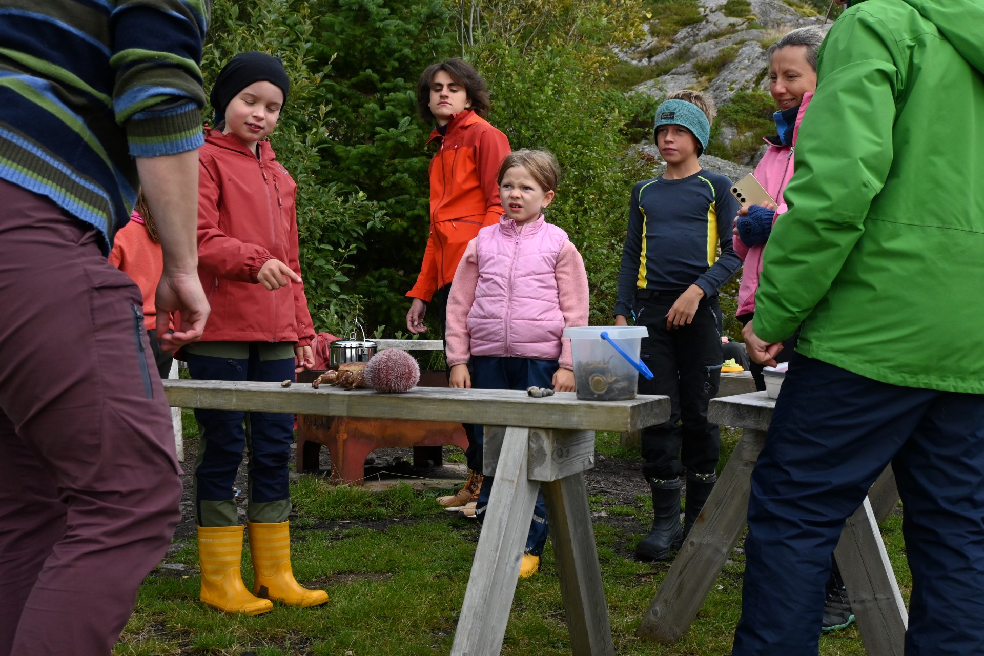 Her finner du matoppskrifter og tips til hva du kan lage av ulike fisk og krepsdyr